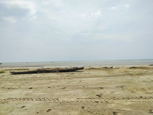 Sea Rim State Park by null