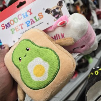 Burlington - Cute pet toys could be good gifts for others - Department Stores Near Me - Las Vegas, Nevada Burlington - Cute pet toys could be good gifts for others - Department Stores Near Me - Las Vegas, Nevada