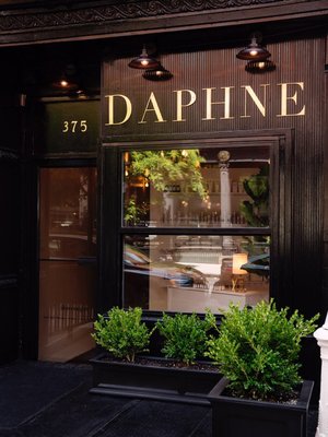 Daphne European Skincare & Sugaring Studio by null