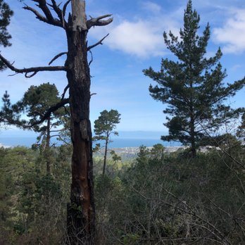 Jacks Peak County Park - The bay. - Parks Near Me - Monterey, California