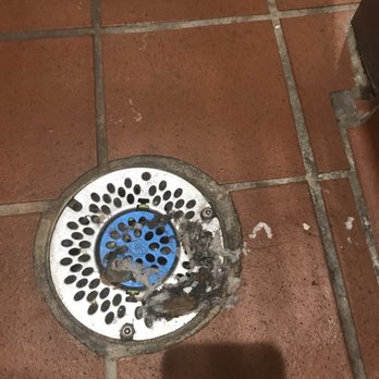 Outback Steakhouse - Hair and old wet toilet paper in drain - Steakhouses Near Me - Burbank, California