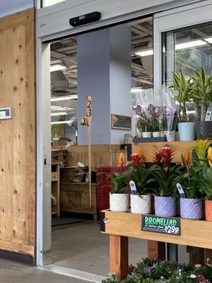 Trader Joe's by null