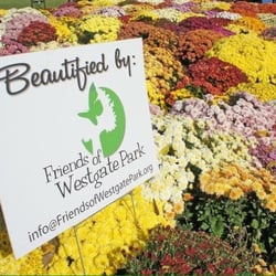 Westgate Park - Check out the Mum research beds provided by Friends of Westgate Park