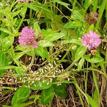 Cox Arboretum MetroPark - Parks Near Me - Dayton, Ohio Cox Arboretum MetroPark - Parks Near Me - Dayton, Ohio