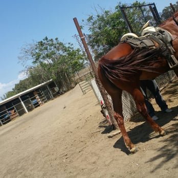C & K Horse Ranch - Horseback Riding Near Me - Montebello, California C & K Horse Ranch - Horseback Riding Near Me - Montebello, California