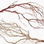 Artisans Manzanita