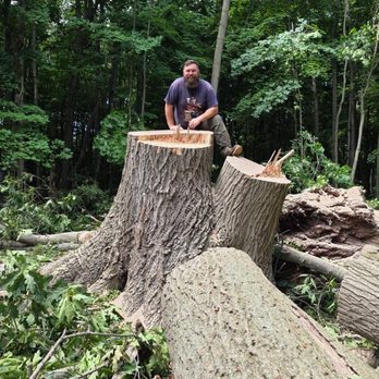 Warner's Pro Tree Service - 37 foot around tree I removed - Tree Services Near Me Warner's Pro Tree Service - 37 foot around tree I removed - Tree Services Near Me