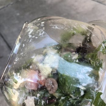 MOD Pizza - MOD salad to go, Half filled. Noticed at home on my way in - Fast Food Near Me - San Antonio, Texas MOD Pizza - MOD salad to go, Half filled. Noticed at home on my way in - Fast Food Near Me - San Antonio, Texas
