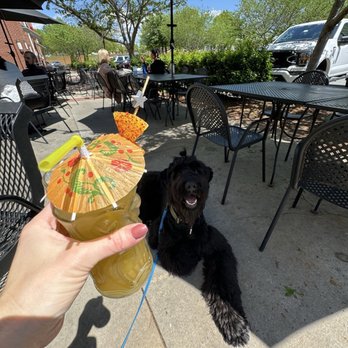 Scratch Kitchen - Dog friendly. - Gastropubs Near Me - Mooresville, North Carolina Scratch Kitchen - Dog friendly. - Gastropubs Near Me - Mooresville, North Carolina