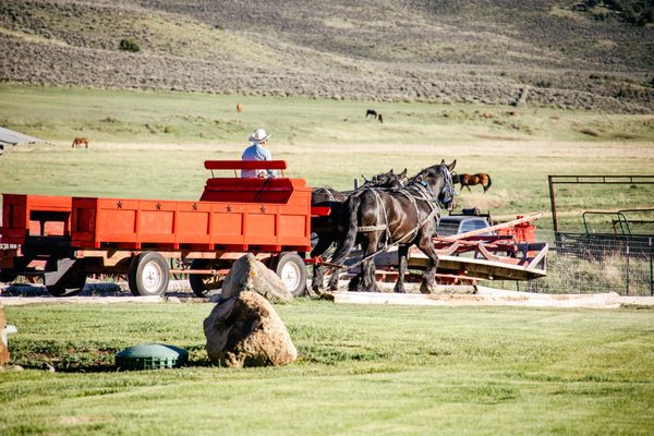 Collective Vail - a Retreat at 4 Eagle Ranch by null