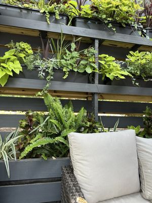 Somm Wine Bar by null