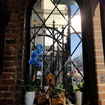 Bella Vista - Stunning orchid in beautiful arch window. - Italian Near Me - Boston, Massachusetts