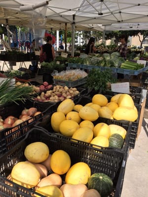 Bixby Park Local Harvest Farmers Market by null