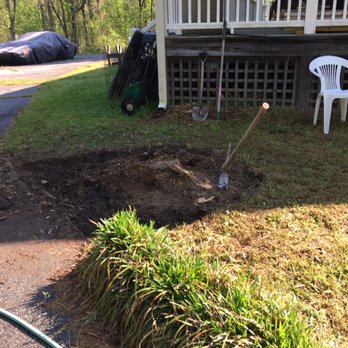 Brown's Stump Removal - Stump about to be removed. - Tree Services Near Me
