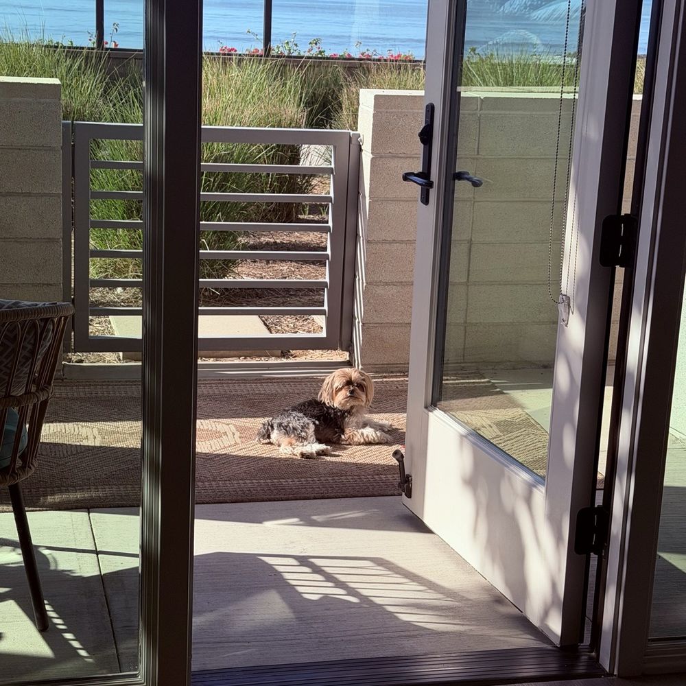 Coastline Ventura - My dog enjoying his day on the patio. - Apartments Near Me - Ventura, California