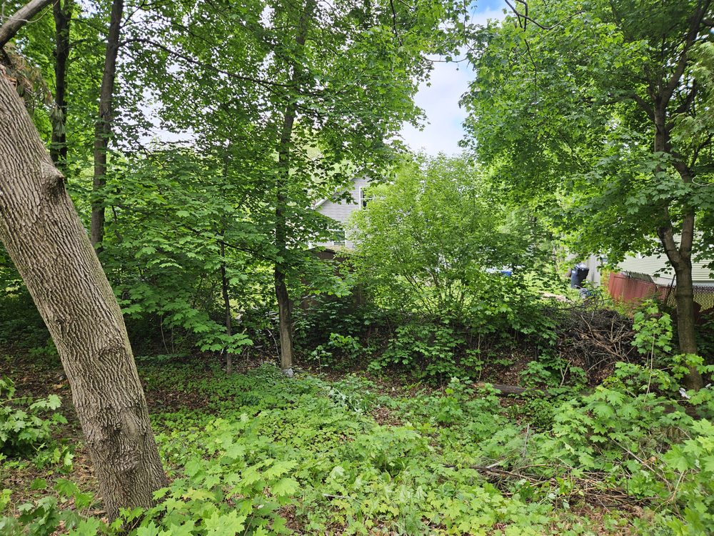 Tree Gone & More - tree service in Winterport, ME