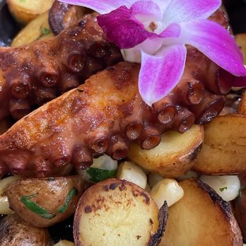 Naori - Grilled octopus - Japanese Near Me - Sunrise, Florida Naori - Grilled octopus - Japanese Near Me - Sunrise, Florida