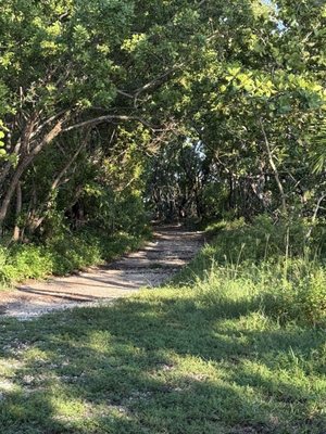 Oleta River State Park by null