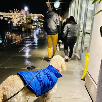 Hello Robin - Tonight... In line for cookies!!! - Bakeries Near Me - Seattle, Washington