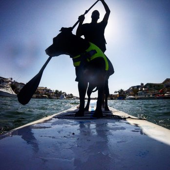 Everyday California Huntington Beach - My dog KAiya's first time on the board. She loved it and it was a calming experience for her and I both. - Rafting/Kayaking Near Me - Sunset Beach, California