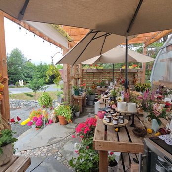 The Little Farm on Olga Road - Pick Your Own Farms Near Me - Eastsound, Washington The Little Farm on Olga Road - Pick Your Own Farms Near Me - Eastsound, Washington