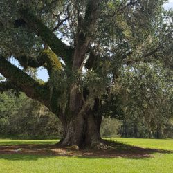 Hampton Plantation State Prk