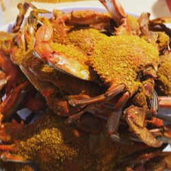 Fat Crabs Rib Company - Blue crabs