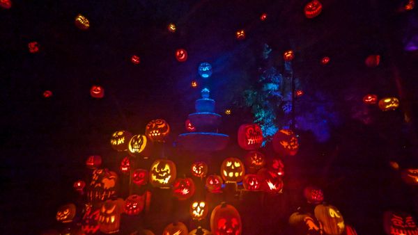 Roger Williams Park Zoo by null