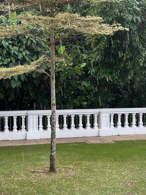 The Alkaff Mansion by null