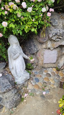 San Carlos Cathedral by null