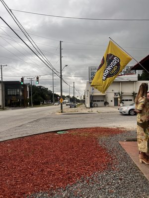 Barnyard Chicken by null