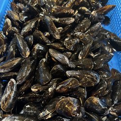 LA Crab Shack - Live black mussels.