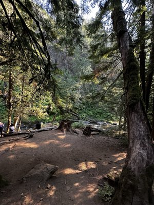 Multnomah Falls by null