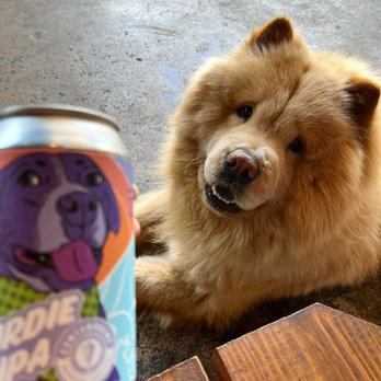 Centerpoint Broad Ripple - Having a frosty cold Birdie IPA with my man Butters. - Venues & Event Spaces Near Me - Indianapolis, Indiana