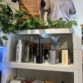 Sunflower Caffe - Coffee & Tea Near Me - Sonoma, California