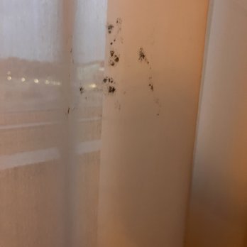 Embassy Suites by Hilton Hampton Convention Center - Mold on bedroom curtains, very hard to miss upon walking through room. - Hotels Near Me - Hampton, Virginia Embassy Suites by Hilton Hampton Convention Center - Mold on bedroom curtains, very hard to miss upon walking through room. - Hotels Near Me - Hampton, Virginia
