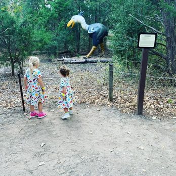 Dinosaur Park - Amusement Parks Near Me - Cedar Creek, Texas