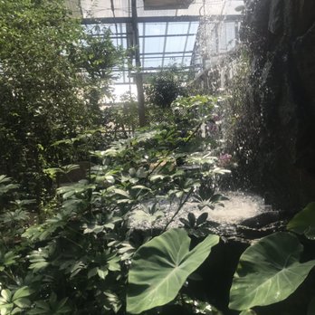 Tyrrell Park - Greenhouse by botanical gardens - Parks Near Me - Beaumont, Texas