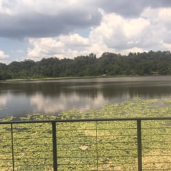 Greenwood Community Park - One of the beautiful views.