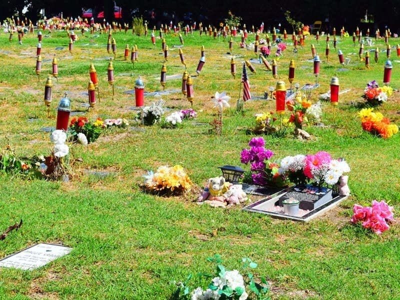 PET HAVEN CEMETERY & CREMATORY Updated September 2024 113 Photos