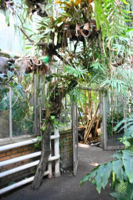 Palmiarnia Poznańska by null