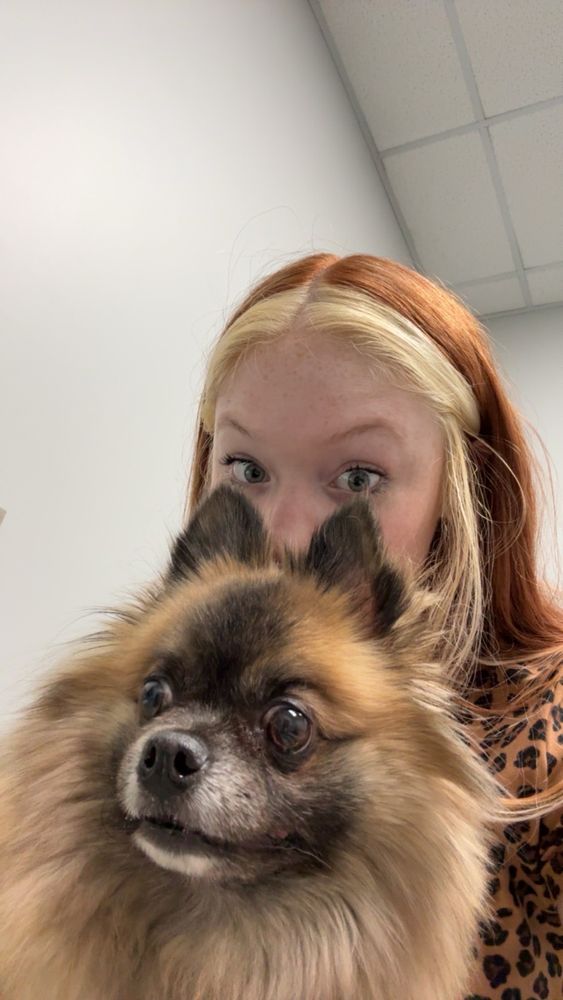 Hendricks Vet Hospital Image