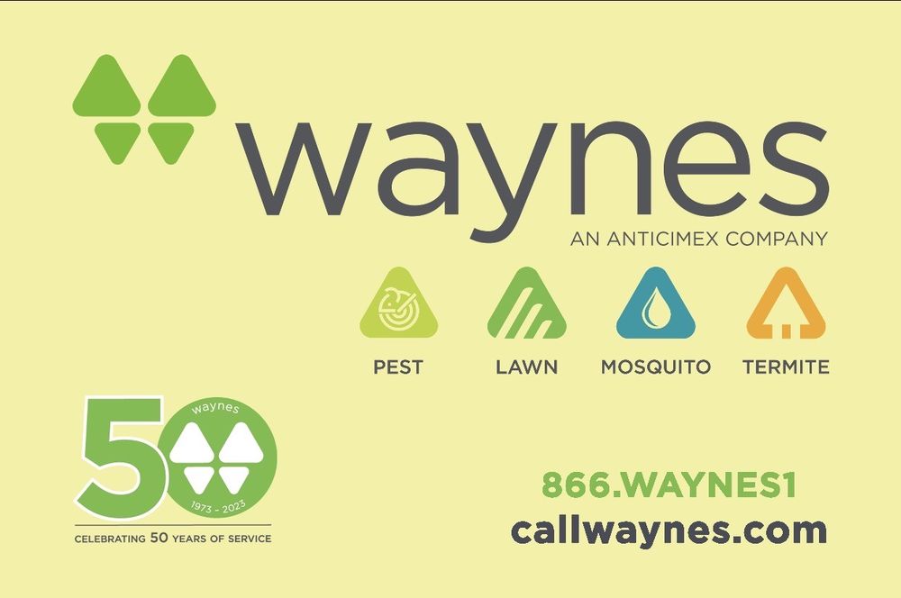 WAYNES PEST CONTROL Updated October 2024 25 Photos 105 Waugh
