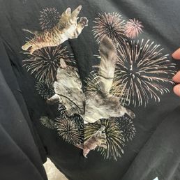 Kittens flying in fireworks Kittens flying in fireworks