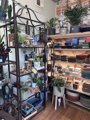 Ginkgo Gardens by null