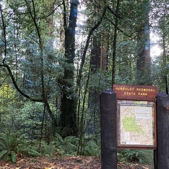Humboldt Redwoods State Park - Parks Near Me - Weott, California Humboldt Redwoods State Park - Parks Near Me - Weott, California