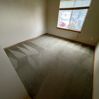 All Star Floor and Air - This carpet is 15 years old... looks like new. - Carpet Cleaning Near Me - Kirkland, Washington All Star Floor and Air - This carpet is 15 years old... looks like new. - Carpet Cleaning Near Me - Kirkland, Washington