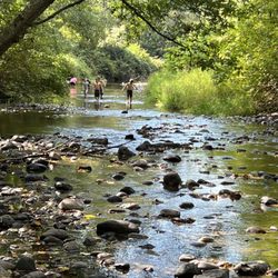 Burlington / Anacortes KOA - Kids playing in the creek by the bridge :)