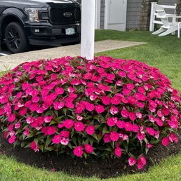 Back lawn. Back lawn.