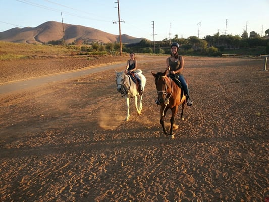 S&D Horseback Riding by null